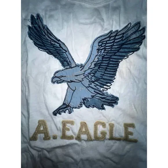 American Eagle Vintage Classic Fit Tee Men L EUC - Picture 2 of 4